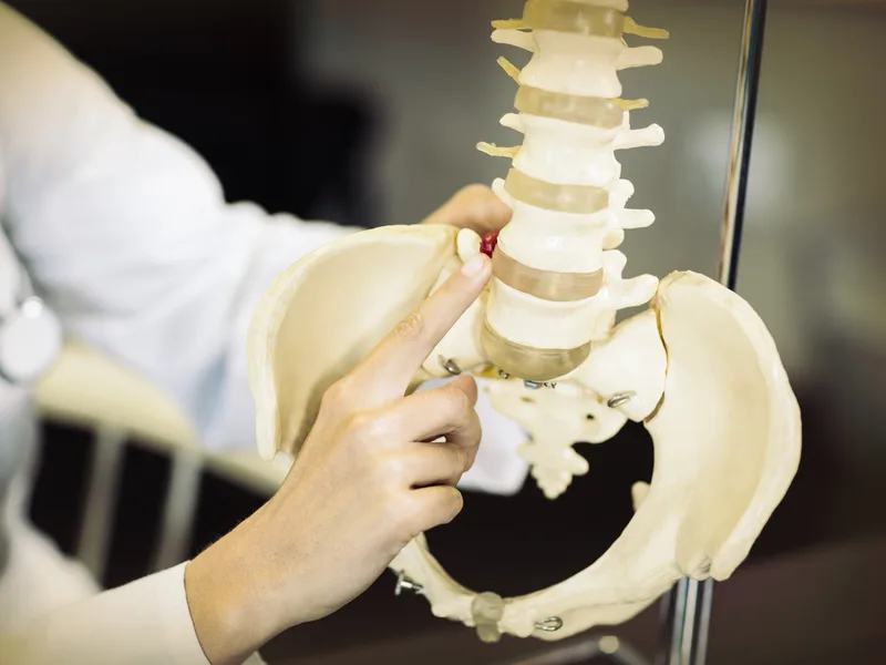 Palmer/Gonstead Technique at DeSalvo Chiropractic in Novato