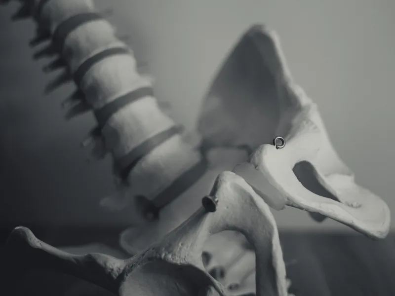 X-Rays at DeSalvo Chiropractic in Novato