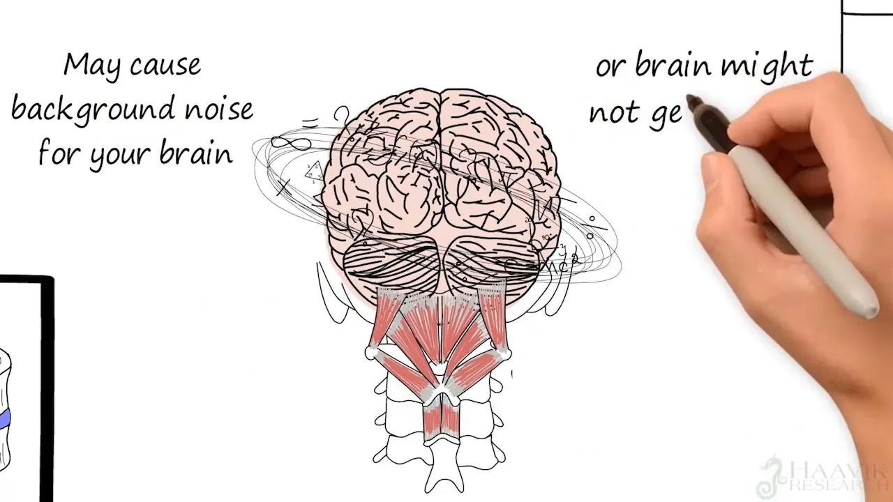 Introduction To Chiropractic