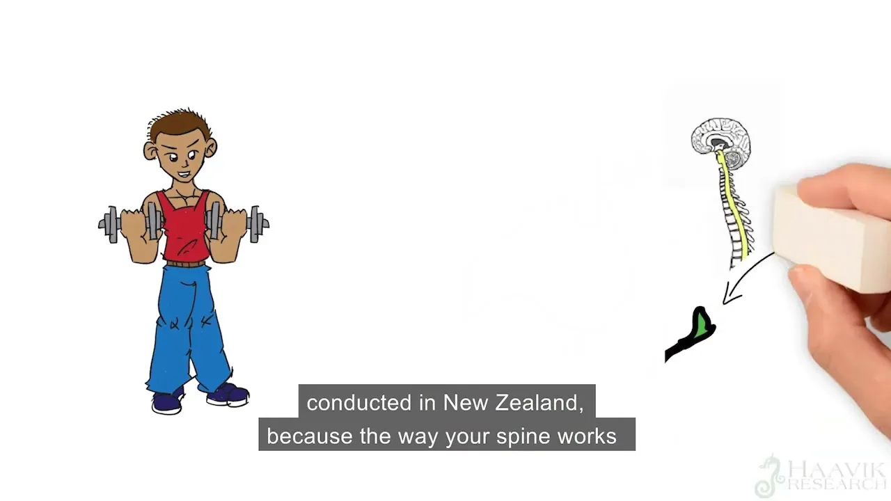 Secrets Of The Spine and It's Importance to Your Health